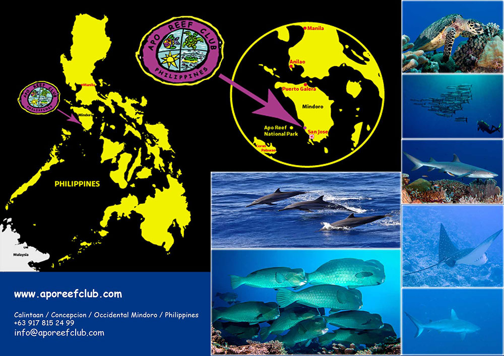 Apo Reef Club Location map